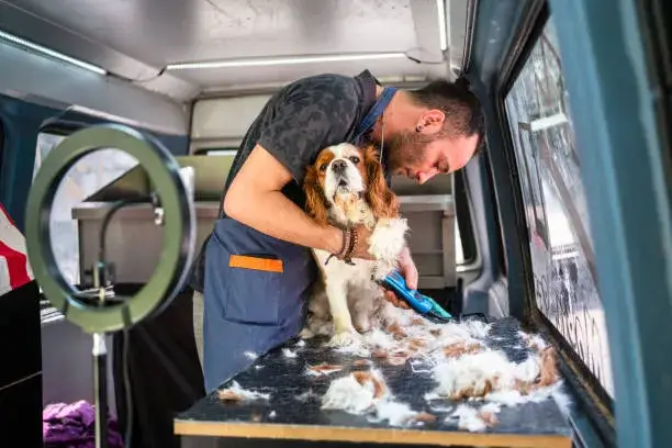 AED 139 Mobile Pet Groomers Near Me – Convenient At-Home Pet Grooming Dubai